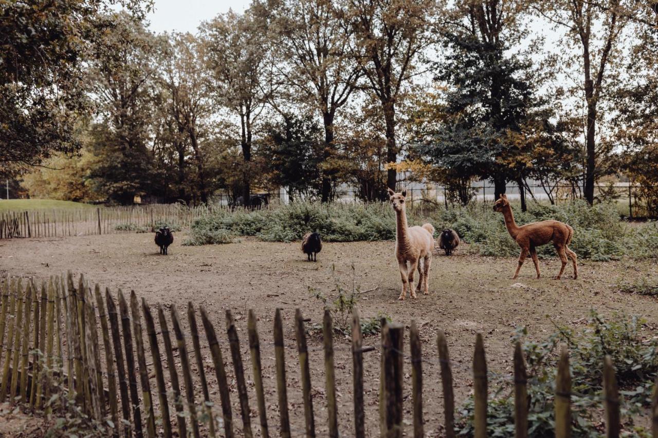 Het Hilkensberg Park Villa Broekhuizen  Dış mekan fotoğraf