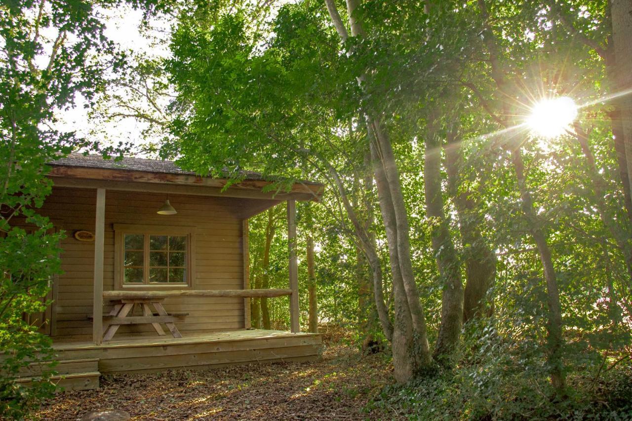 Het Hilkensberg Park Villa Broekhuizen  Dış mekan fotoğraf