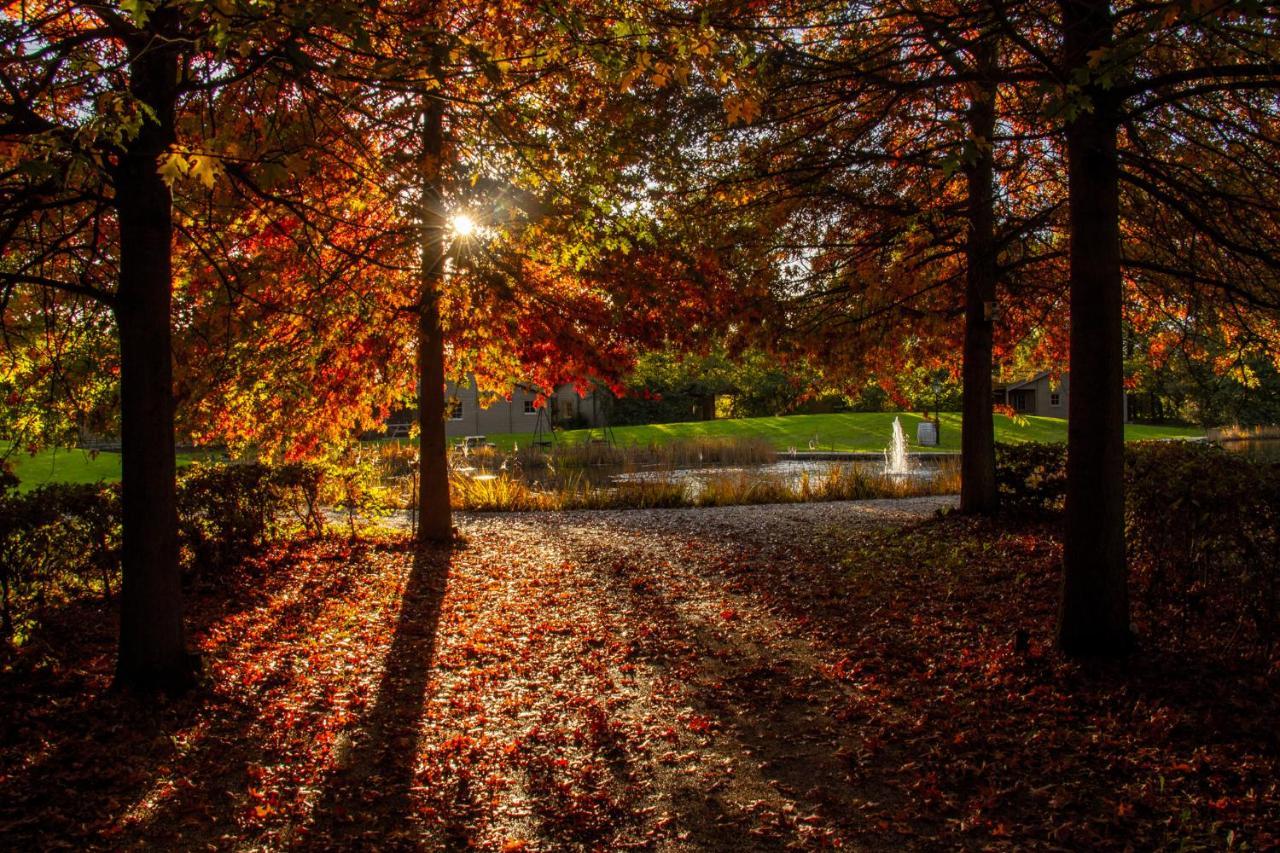 Het Hilkensberg Park Villa Broekhuizen  Dış mekan fotoğraf