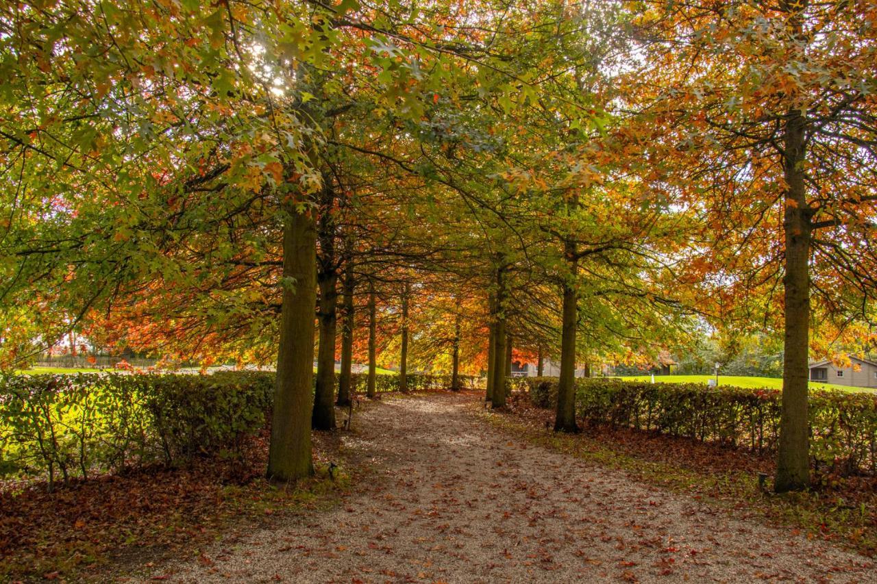 Het Hilkensberg Park Villa Broekhuizen  Dış mekan fotoğraf